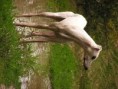 /album/matka/a1-nov-2008-002-jpg/